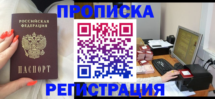 где прописаться в Кашине